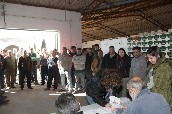 Sorteo de Merino Precoz por la Diputación de Cáceres