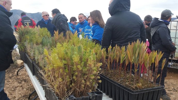 Fundación Levantina y Fundación Grupo SIFU jornada voluntariado ambiental