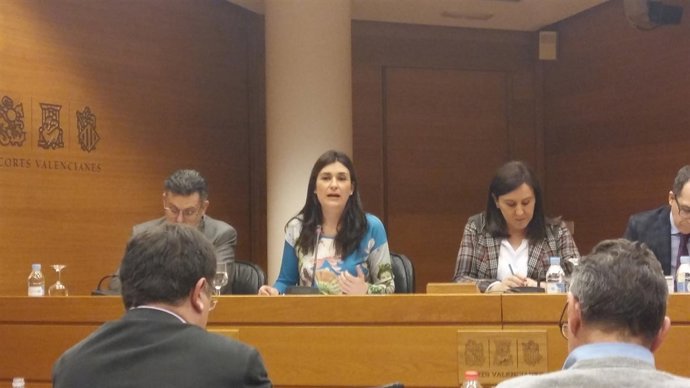 Carmen Montón en la Comisión de Sanidad y Consumo de las Corts
