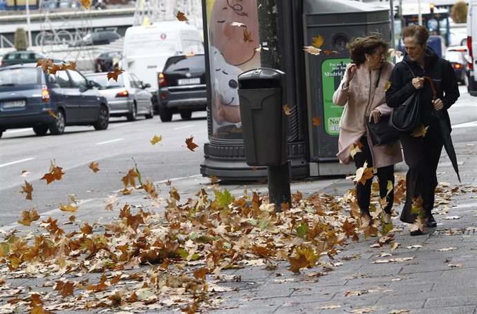 Recursos de viento, temporal, hojas, otoño