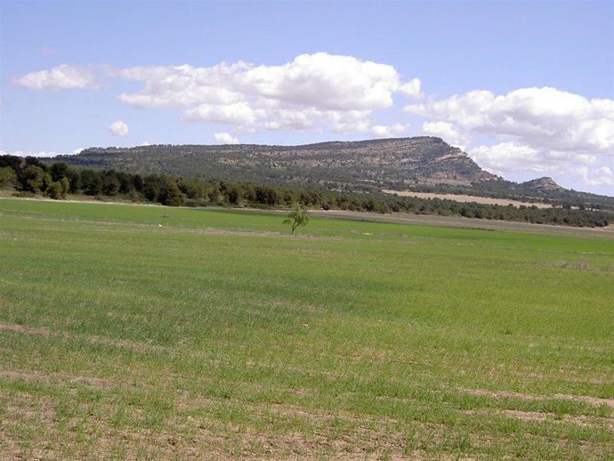 Monte Arabí de Yecla