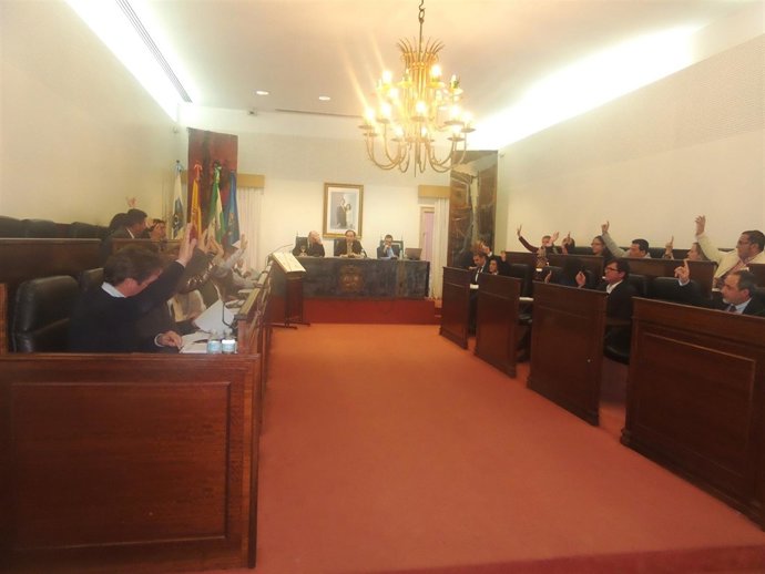 Pleno de la Diputación de Huelva. 