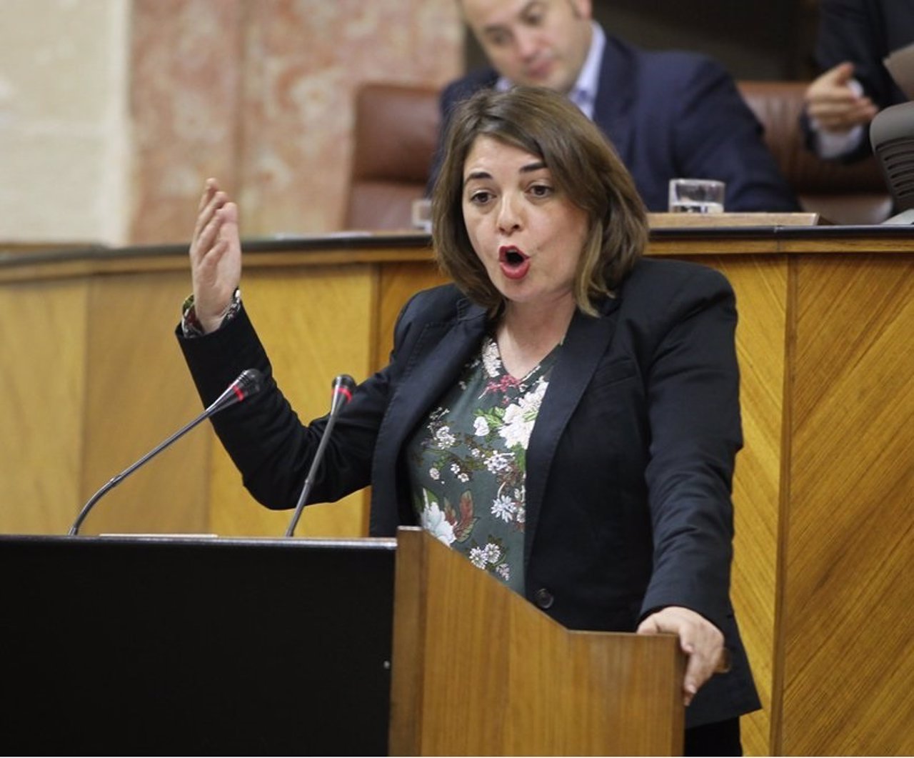 Elena Cortés, en debate parlamentario