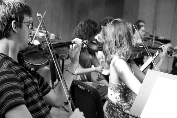 Orquesta Camera Musicae (OCM)