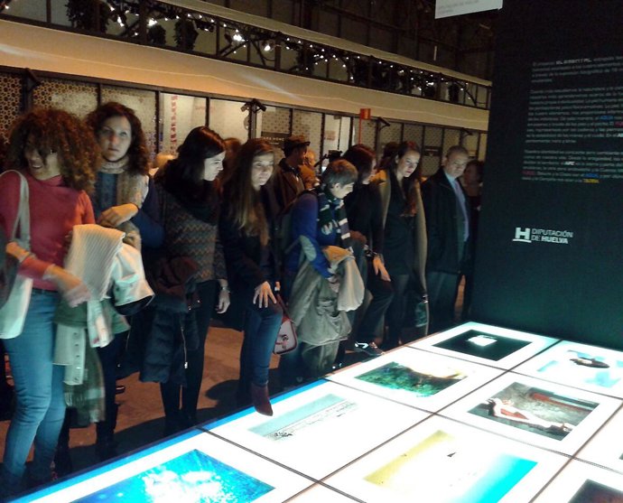 Muestra 'Elemental' en ARCOMadrid 2015. 