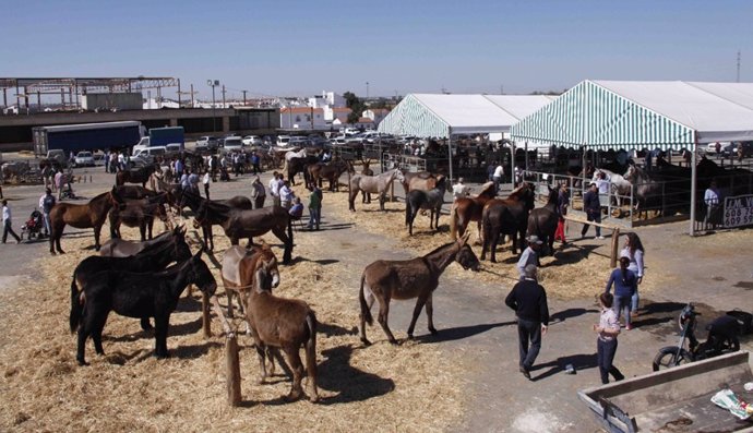 Zona de Trato de la Feria del Caballo de Cartaya. 