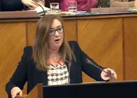 Parlamento reclama que el Gobierno central elabore un proyecto de ley de igualdad salarial