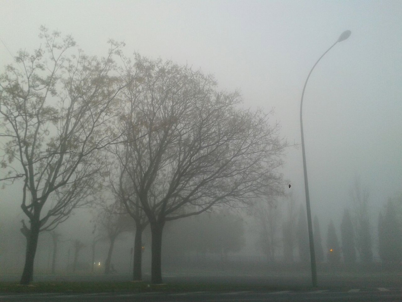Imagen de Sevilla con niebla el día 4 de marzo de 2016