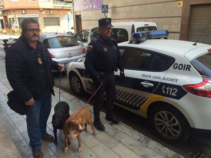 Los dos animales rescatados por los agentes