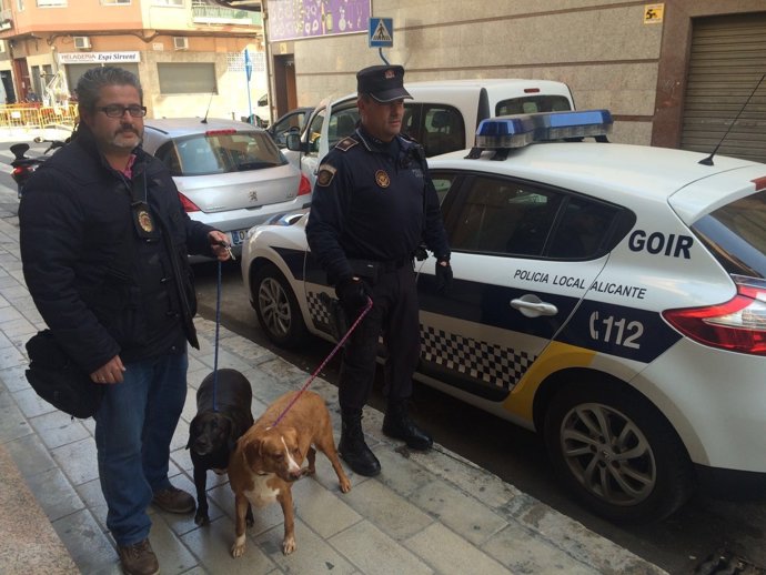 Los dos animales rescatados por los agentes