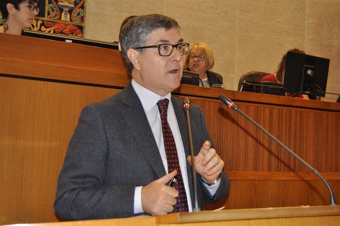 El consejero de Presidencia, Vicente Guillén, en su comparecencia en las Cortes