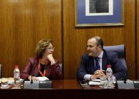 Una interventora de la Junta cree que la normativa para controlar la formación era "muy mejorable"