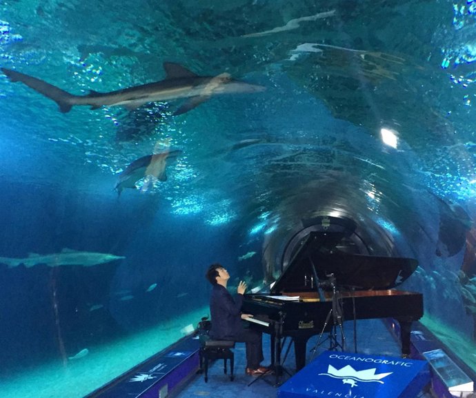 Lang Lang en el Oceanogràfic