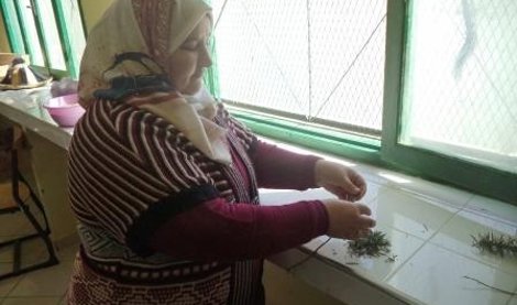 Cooperación y Desarrollo