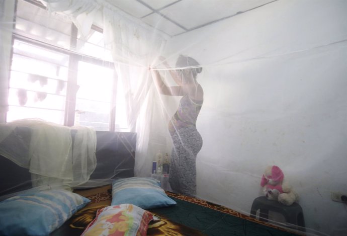 Maribel Gomez, 21, installs a mosquito net over her bed in Cali