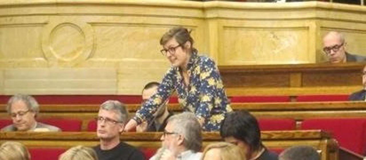 La diputada Mireia Vehí, en el Parlament