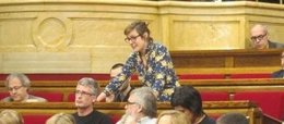 La diputada Mireia Vehí, en el Parlament