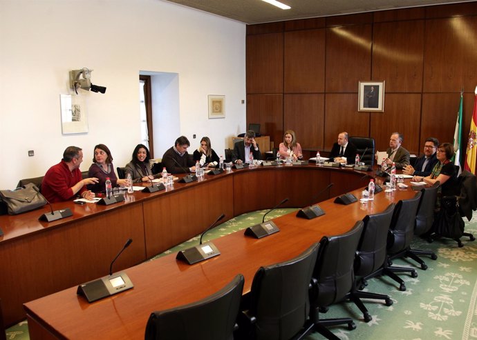 Comisión de investigación sobre cursos de formación en Andalucía