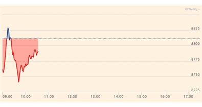 Bolsa