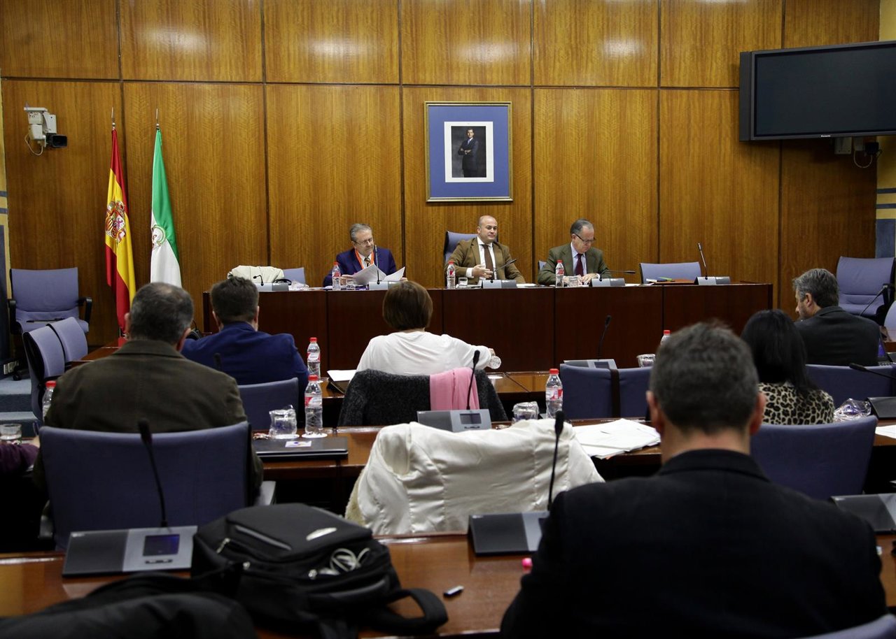 Segunda sesión de comparecencias ante la comisión de formación