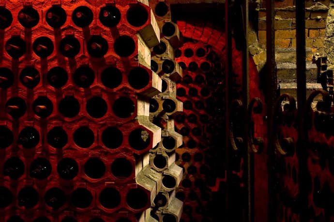 Bodega de Ribera del Duero