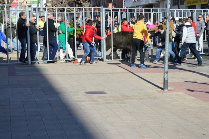 Vaca huida en el encierrro