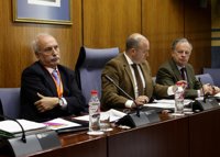Interventor de Granada: Beneficiaros y administración no "pueden irse de rositas"