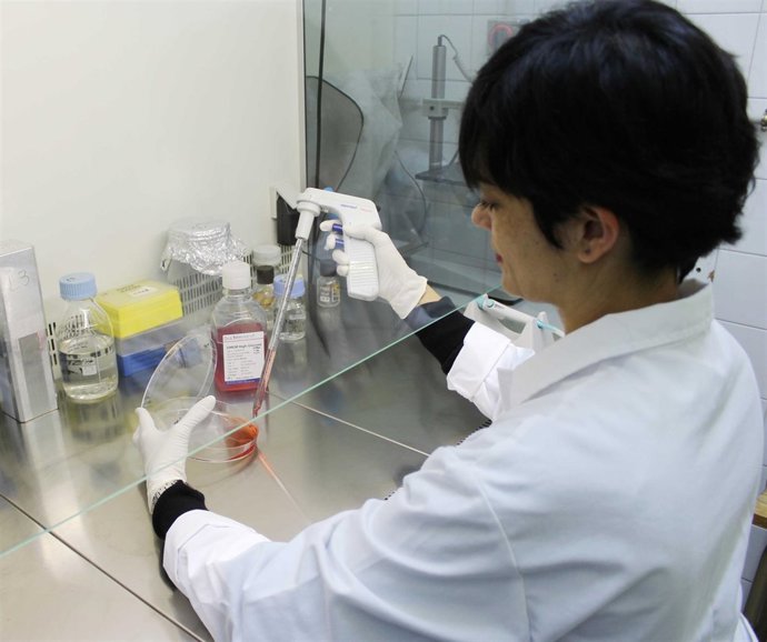 Grupo de investigación de la Universidad de Sevilla