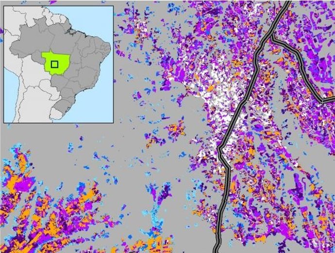 Campos de soja en Brasil
