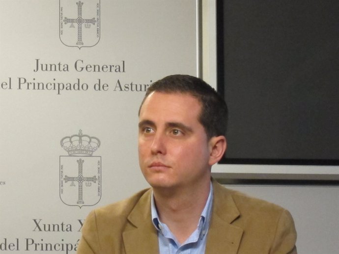 El diputado del PP en la Junta General David González Medina