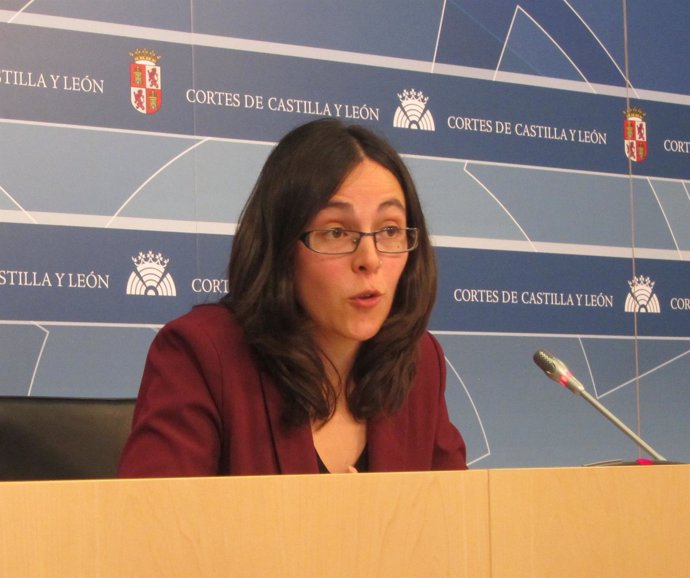 La procuradora de Podemos en las Cortes de CyL Laura Domínguez.