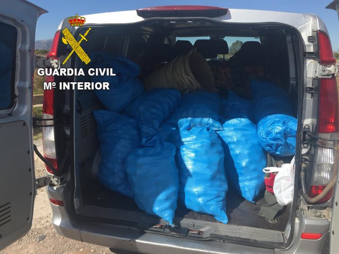 HURTO DE NARANJAS EN BURRIANA