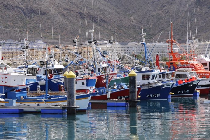 Barcos de pesca atracados en Los Cristianos