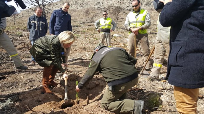 La consejera visita los trabajos de emergencia en la sierra del almirez Lorca 