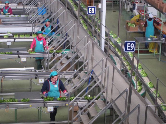 Trabajadoras del sector del manipulado en la alhóndiga de Primaflor