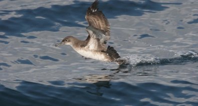 Cooperación y Desarrollo