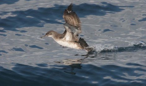 Cooperación y Desarrollo