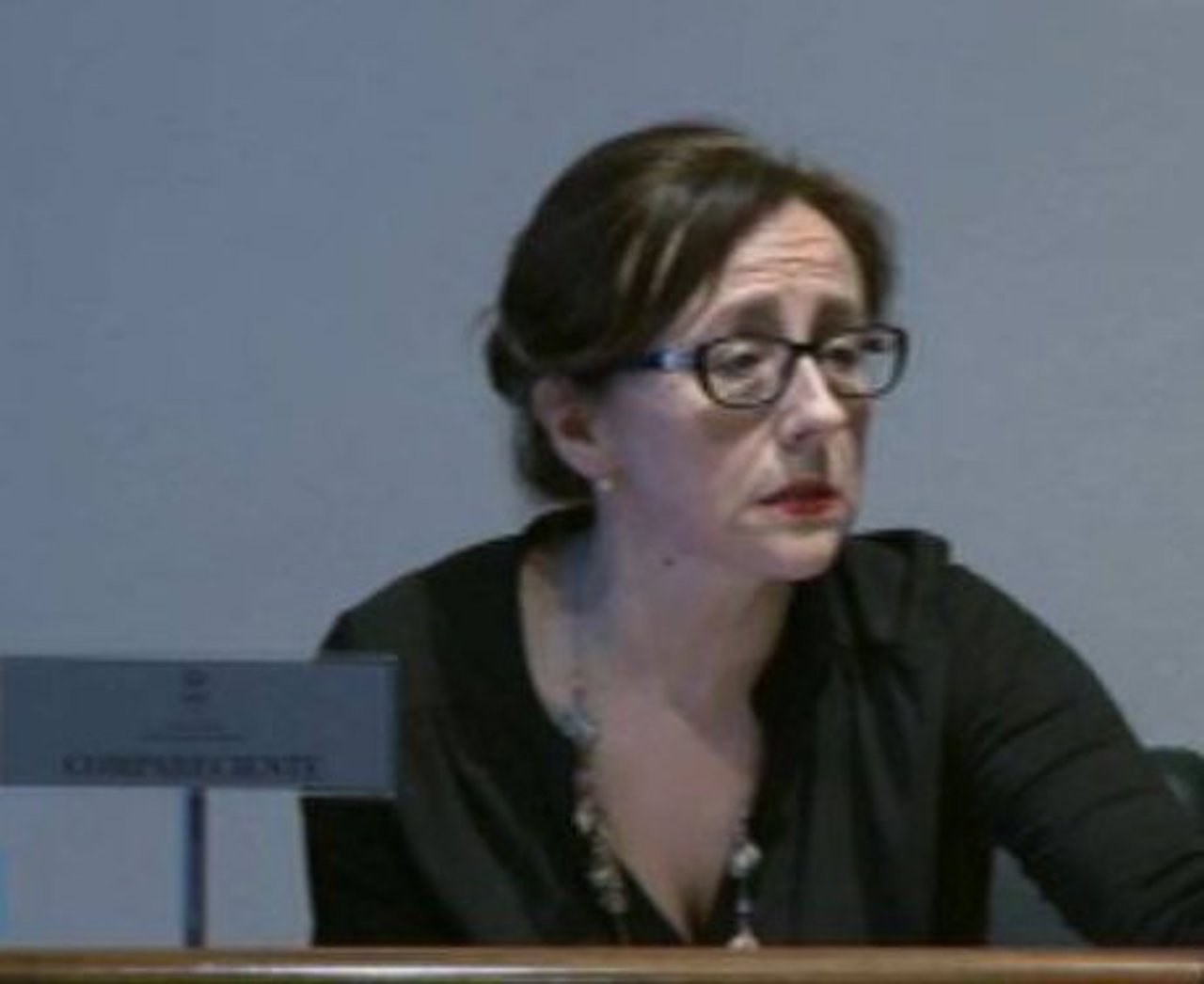 Belén Fernández en comisión parlamentaria sobre Sogepsa