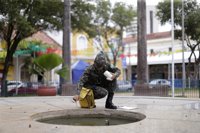 La OMS recomienda a las mujeres embarazas que no viajen a países con Zika