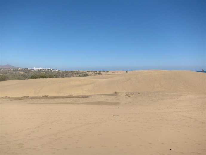 Dunas de Maspalomas, en San Bartolomé de Tirajana (Gran Canaria)