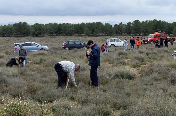 Sariñena celebrará este domingo el Día del Árbol 