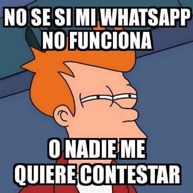 Whatsapp vs Telegram  Memes divertidos, Chistes graciosos de animales,  Memes graciosos