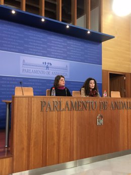 Las diputadas de IU Elena Cortés e Inmaculada Nieto, en rueda de prensa