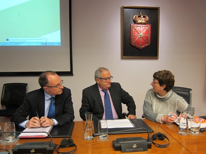 Ardanaz y Sabalza en la comisión parlamentaria