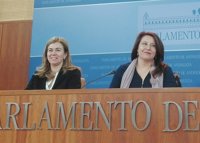 PP-A: Interventores evidencian "la falta de control generalizada" de la Junta en formación
