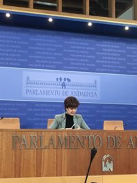 Podemos: Los interventores avalan que "la Junta genera corrupción por falta de controles"