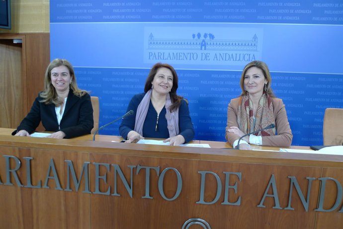 Nota, Foto Y Audio PP Andaluz: Crespo Denuncia Una Estrategia Deliberada De Díaz