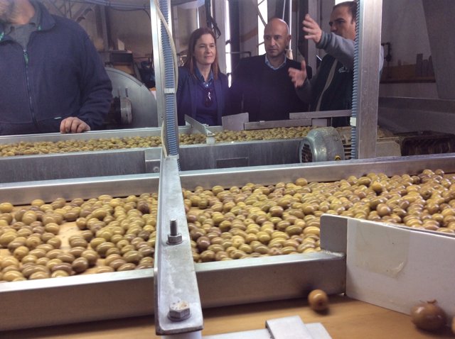Javier Salas visita una cooperativa olivarera de Humilladero