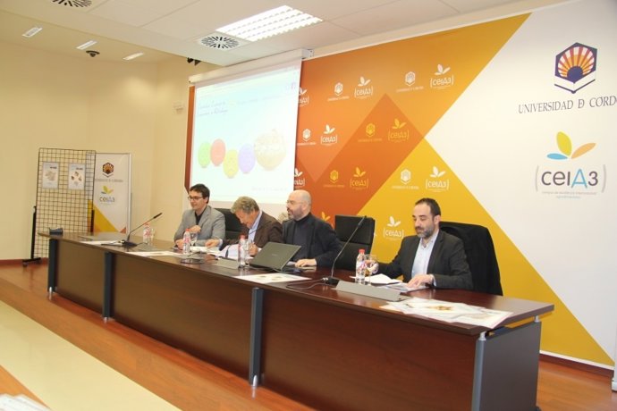 Casado, Naïr, Medina y Rosón durante la presentación del congreso