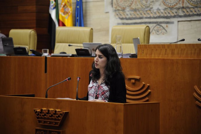 La diputada de Podemos Irene de Miguel en la Asamblea